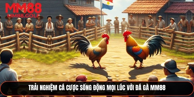 Trải nghiệm cược sống động cùng đá gà MM88 mọi lúc