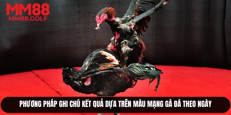 Cách ghi chú kết quả dựa trên màu mạng gà đá theo ngày