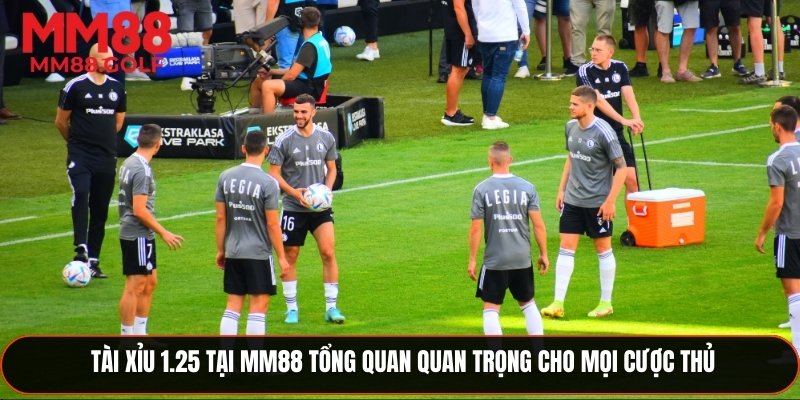 Hướng dẫn đọc biến động tỷ lệ để dự đoán tài xỉu 1.25