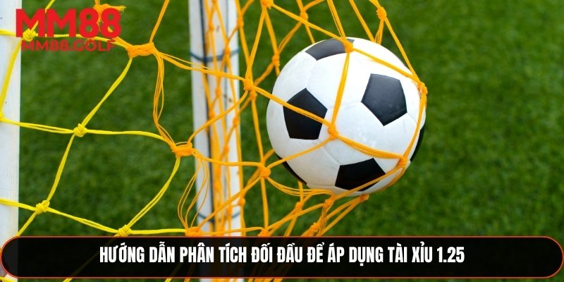 Phân tích đối đầu để áp dụng tài xỉu 1.25 hiệu quả