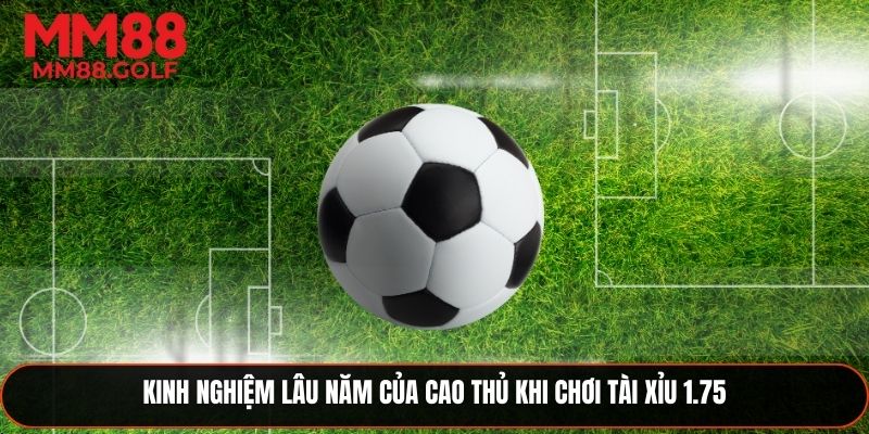 Kinh nghiệm dày dạn của cao thủ khi chơi tài xỉu 1.75