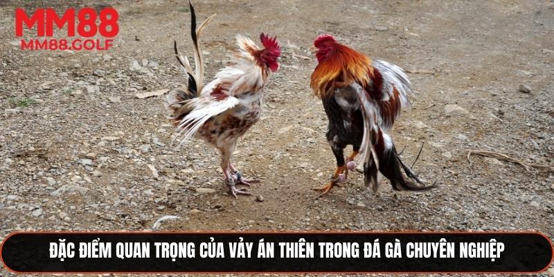 Những đặc điểm nổi bật của Vảy quý án thiên trong đá gà chuyên nghiệp