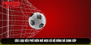 Web Cá Độ Bóng Đá – Nền Tảng Uy Tín Cho Mọi Cược Thủ
